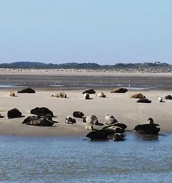 Maison Proche Plage *